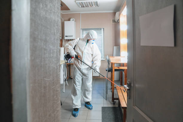 Decatur, IN Mold Removal Company