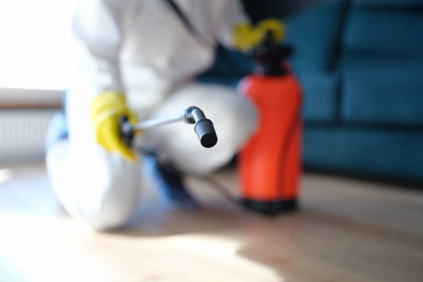 Asbestos and Lead Testing During Mold Inspection in Decatur, IN